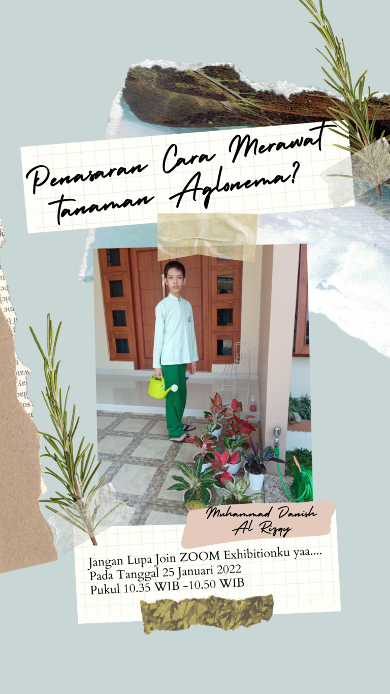 Read more about the article Muhammad Danish Al Rizqy